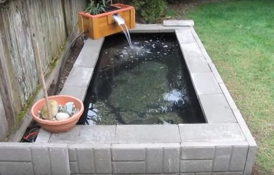 Fill up the Pond