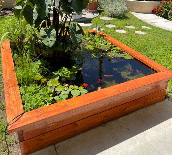 Introducing Fishes and Plants