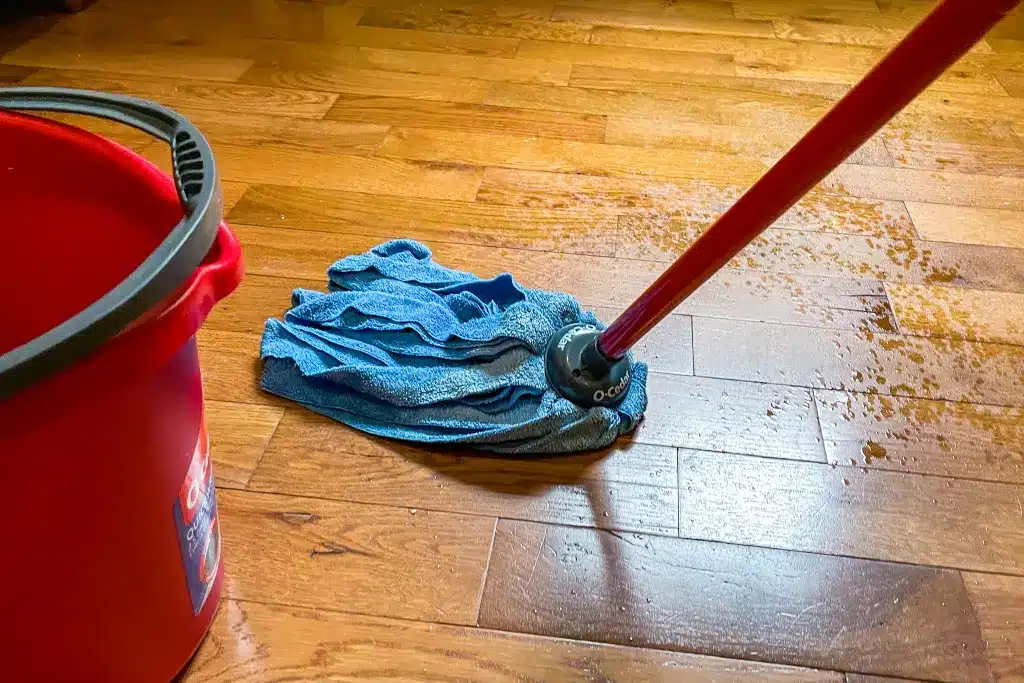 Let's Clean the Floor Again.jpg