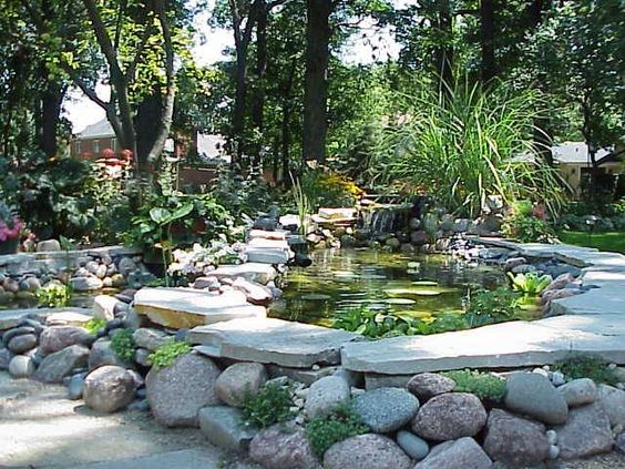 Placement of Your Pond
