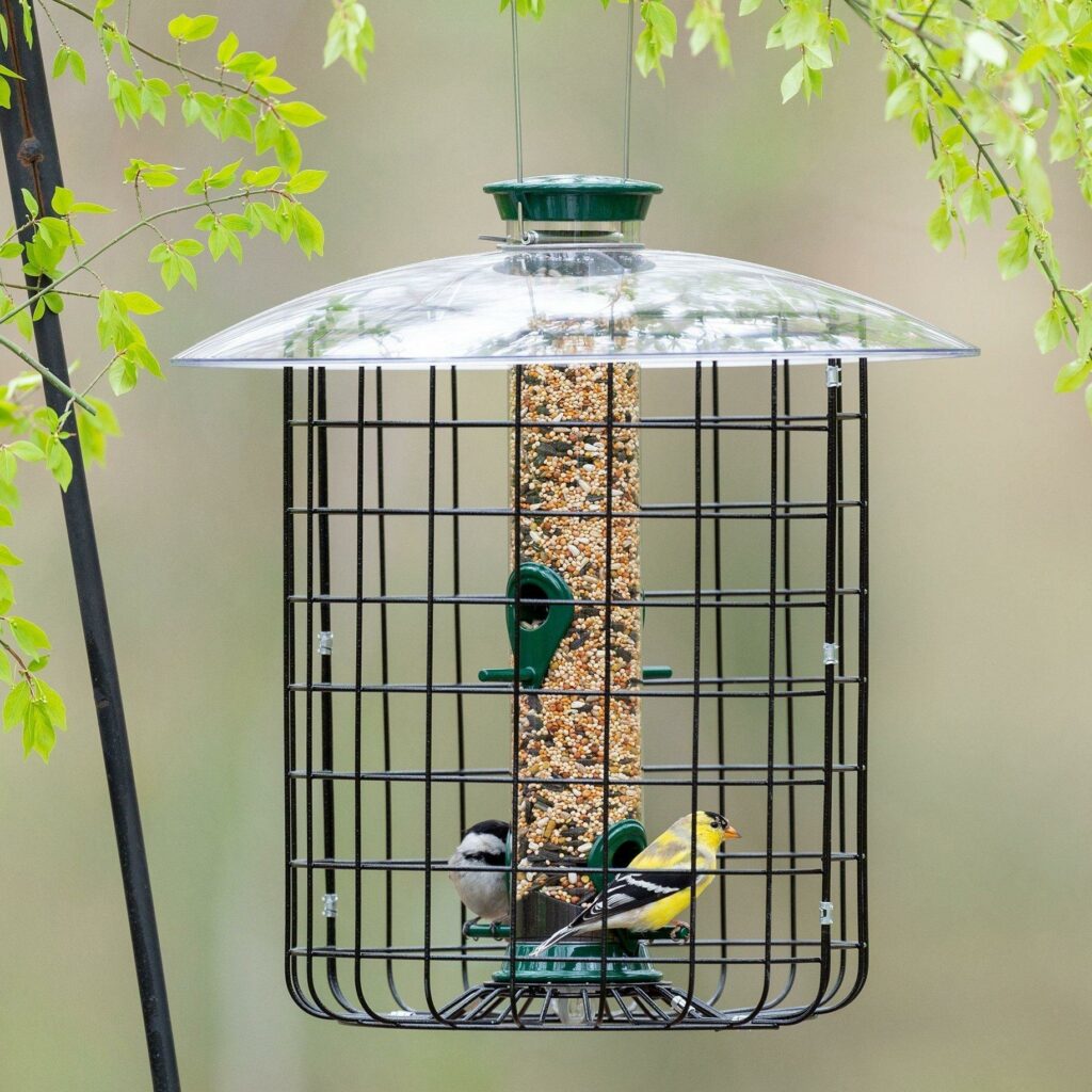 The Anti-Squirrel Cage