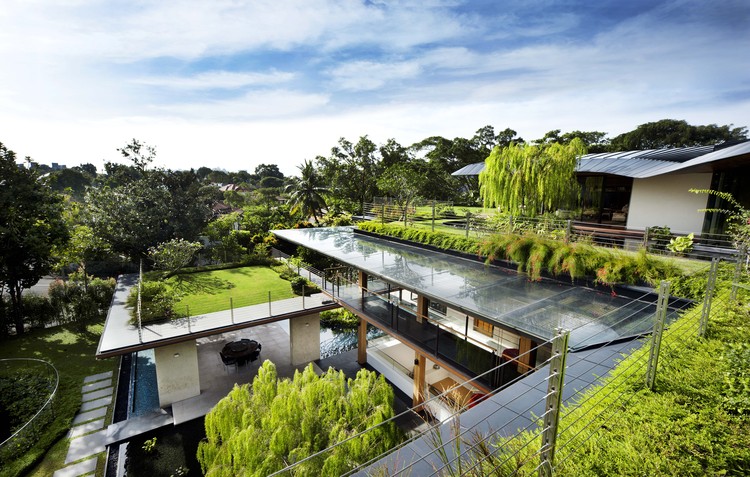 The Ficus House - Singapore