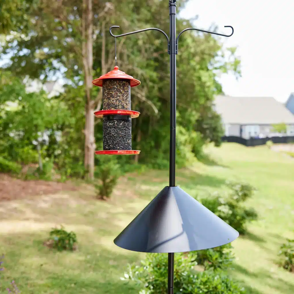 The Squirrel Baffle