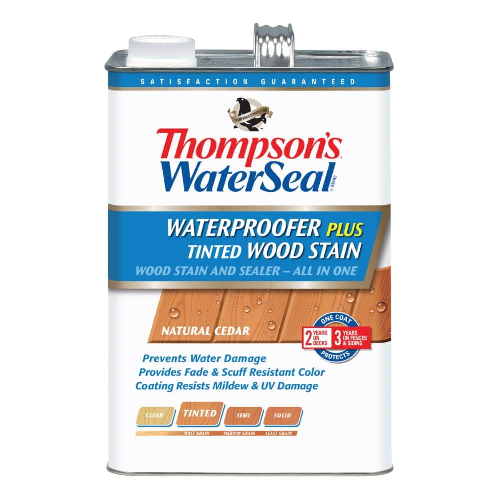 Thompsons WaterSeal Stain